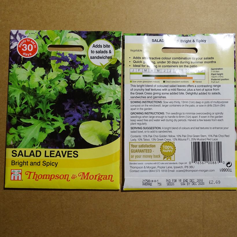 Example of Mesclun Bright and Spicy per pack of 1000 seeds as you get