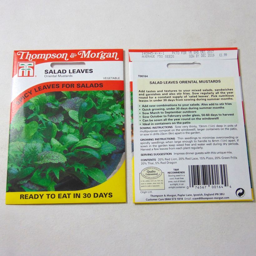 Example of Sarepta-Senf Oriental Mustards per pack of 2000 seeds as you get