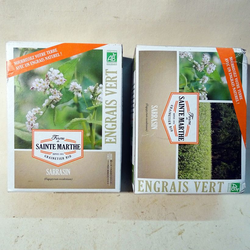 Example of Echter Buchweizen Bio - Ferme de Sainte Marthe - Fagopyrum esculentum per 400 g seed pack as you get