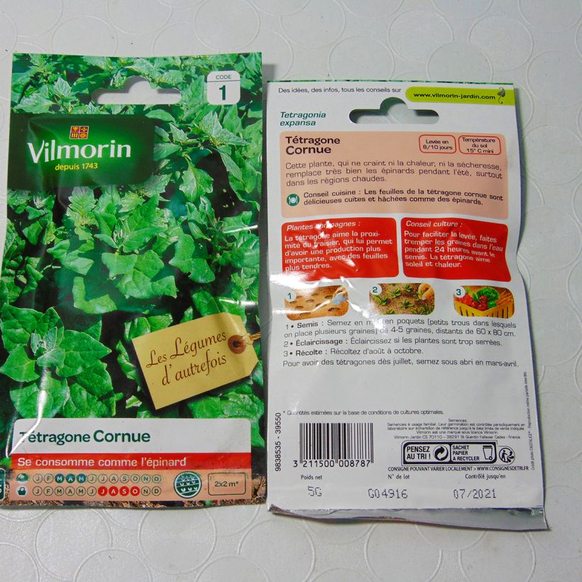 Example of Neuseelandspinat - Vilmorin - Tetragonia tetragonioides per pack of 75 seeds (5g) as you get