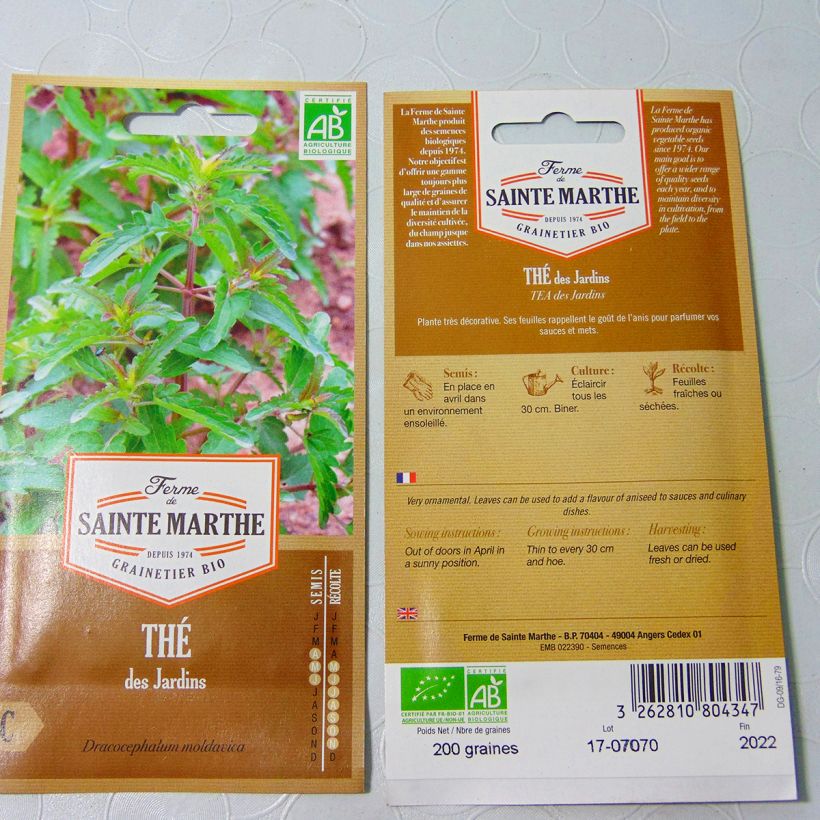 Example of Türkischer Drachenkopf - Dracocephalum moldavica Bio per pack of 80 seeds as you get