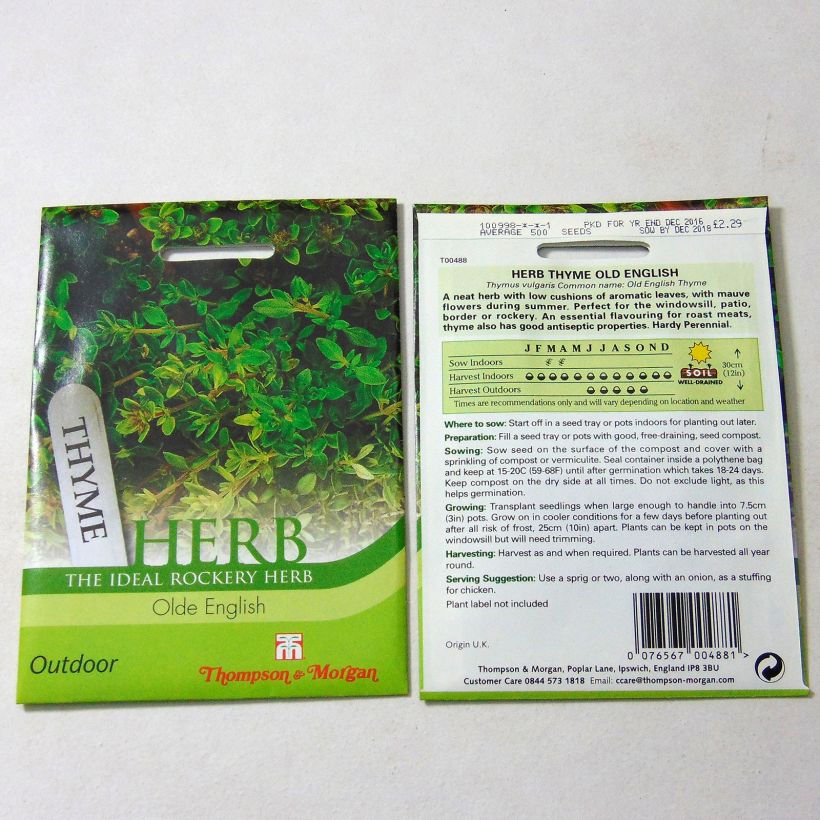 Example of Echter Thymian Old English - Thymus vulgaris per pack of 500 seeds as you get