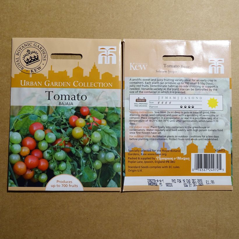 Example of Tomate Bajaja per pack of 15 seeds as you get