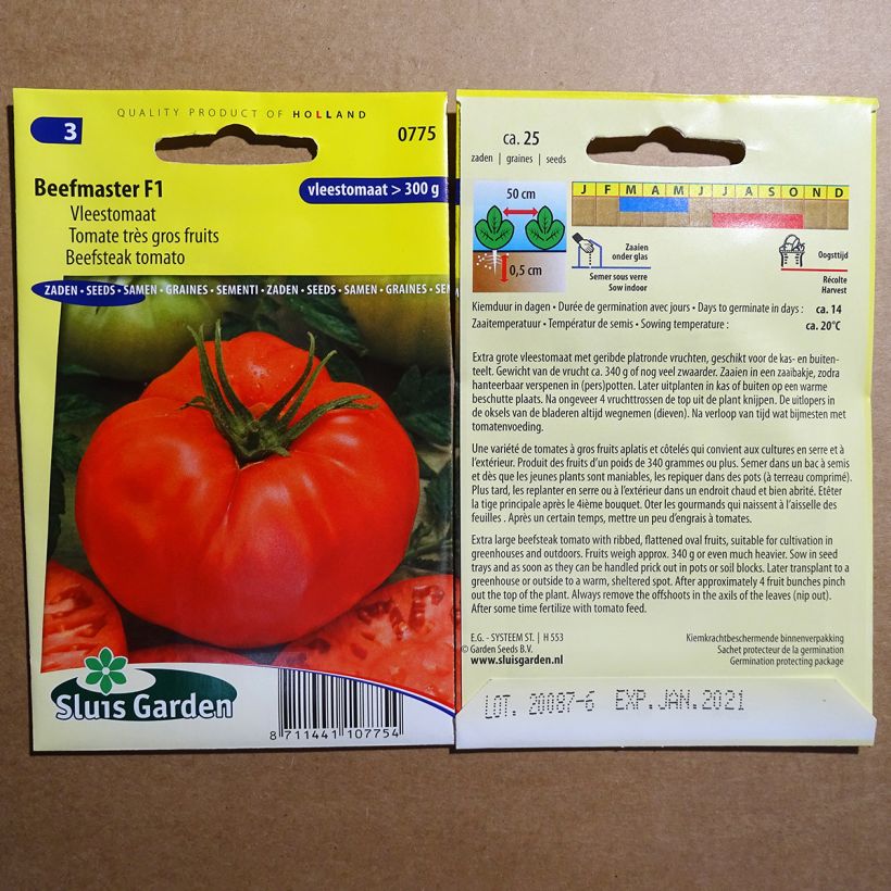 Example of Tomate Beefmaster F1 per pack of 25 seeds as you get