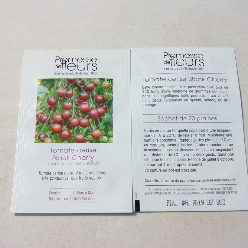 Example of Kirschtomate Black Cherry per pack of 50 seeds (0,1g) as you get