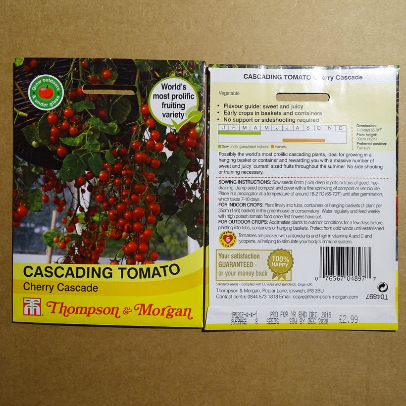 Example of Kirschtomate Cherry Cascade per pack of 8 seeds as you get