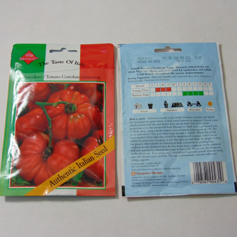 Example of Tomate Costoluto Genovese per pack of 450 seeds as you get