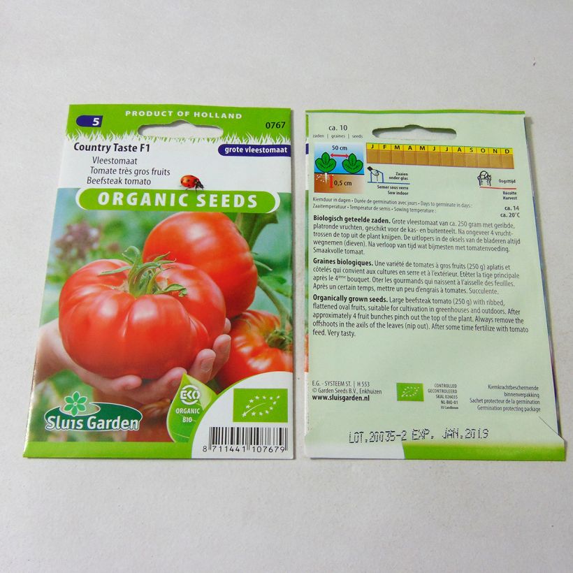 Example of Tomate Country Taste Bio per pack of 10 seeds as you get
