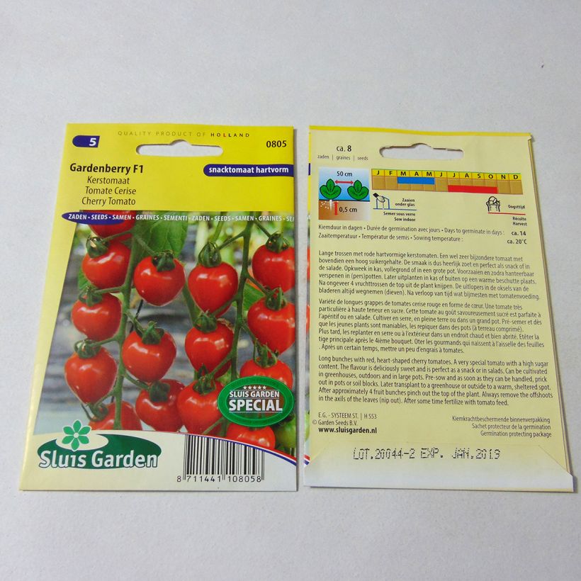 Example of Kirschtomate Gardenberry per pack of 7 seeds as you get