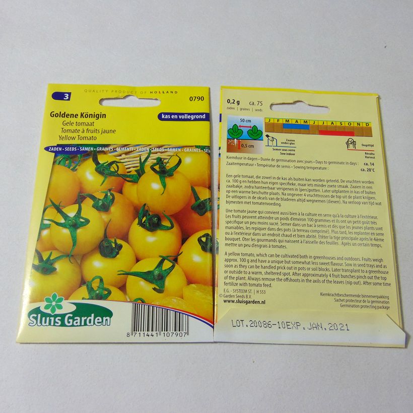 Example of Tomate Goldene Königin per pack of 75 seeds as you get