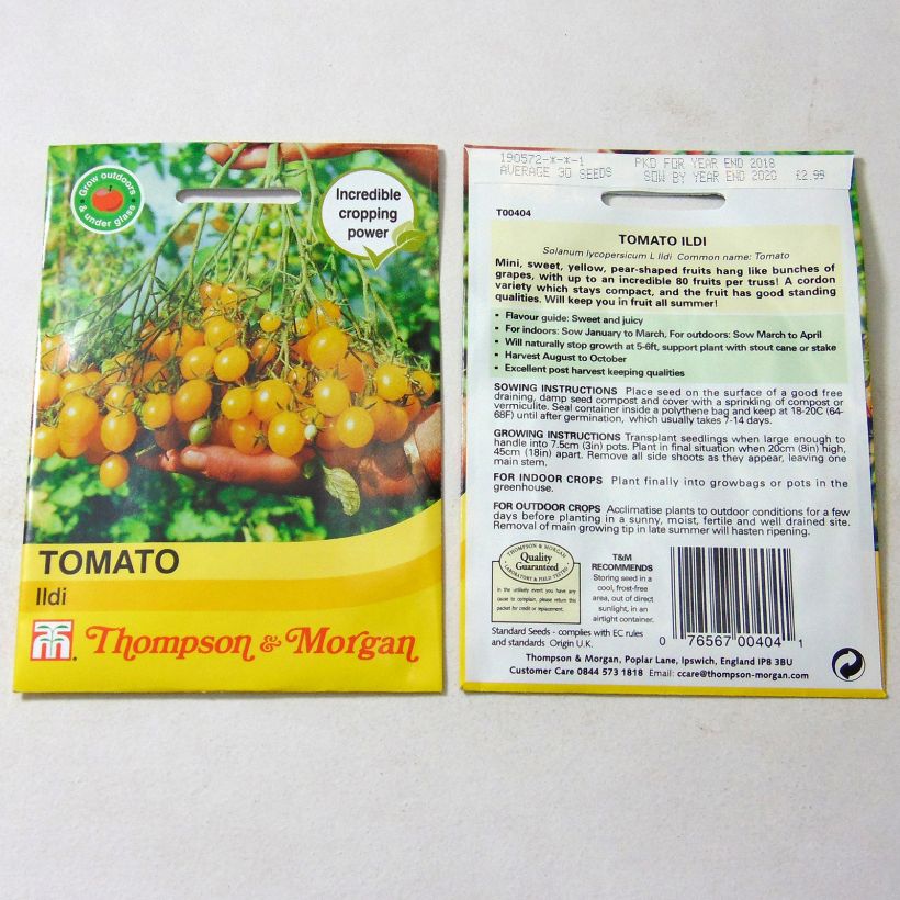 Example of Kirschtomate Ildi per pack of 40 seeds as you get