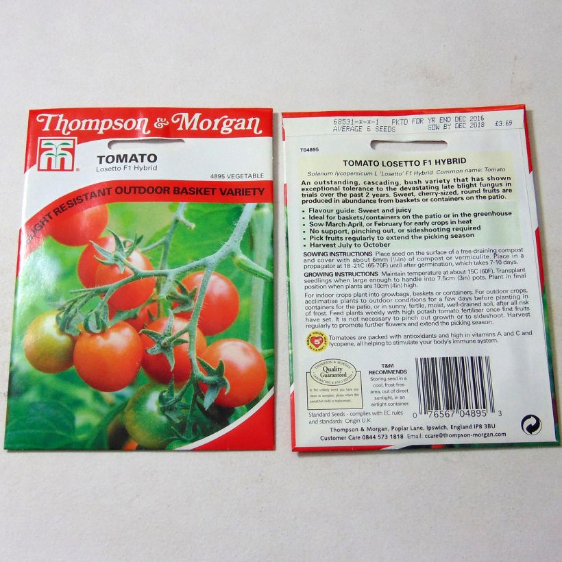 Example of Kirschtomate Losetto per pack of 6 seeds as you get