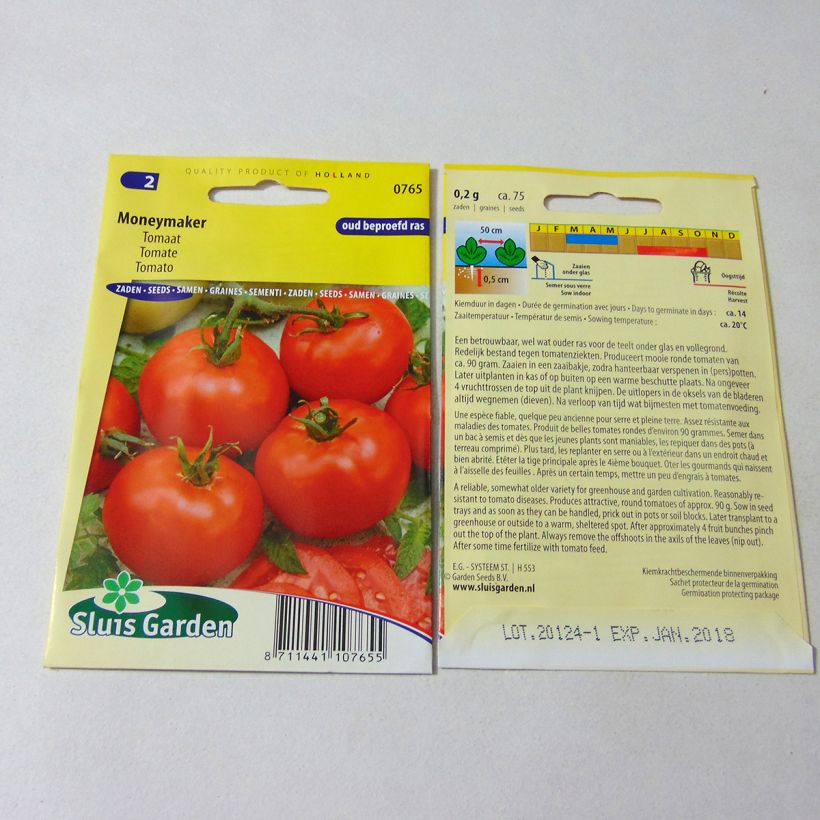 Example of Tomate Moneymaker per pack of 300 seeds (1g) as you get