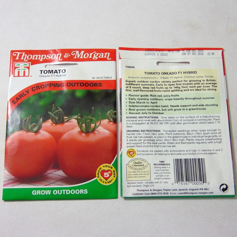 Example of Tomate Orkado per pack of 8 seeds as you get