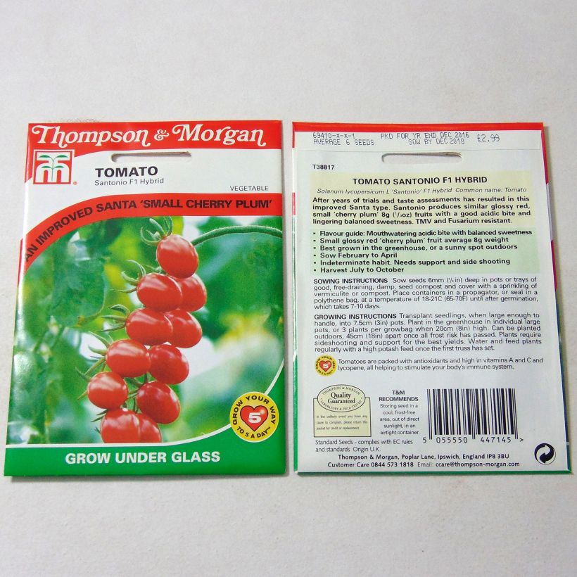 Example of Kirschtomate Santonio F1 per pack of 6 seeds as you get