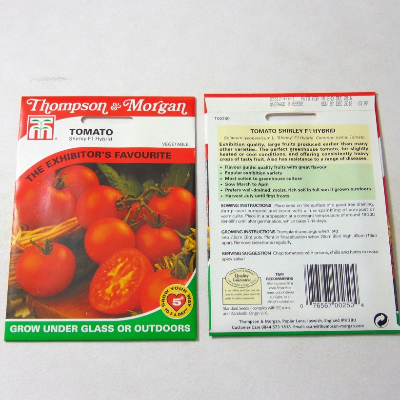 Example of Tomate Shirley per pack of 10 seeds as you get