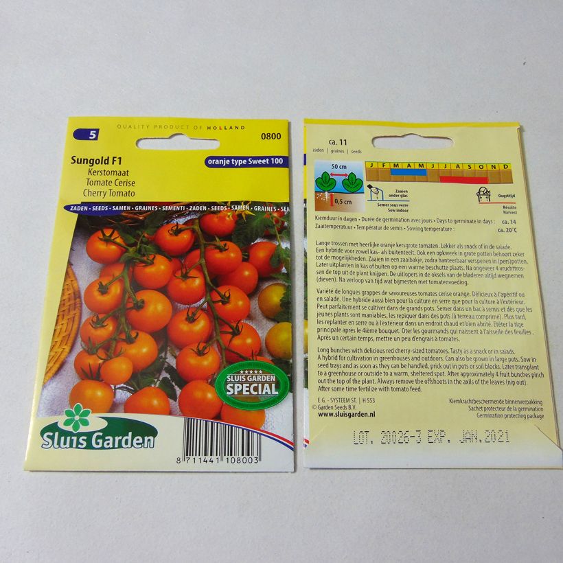 Example of Kirschtomate Sungold per pack of 11 seeds as you get