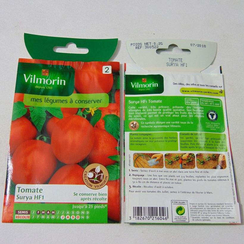 Example of Tomate Surya - Vilmorin per pack of 60 seeds (0.2g) as you get