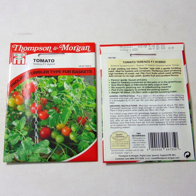 Example of Kirschtomate Terenzo per pack of 6 seeds as you get