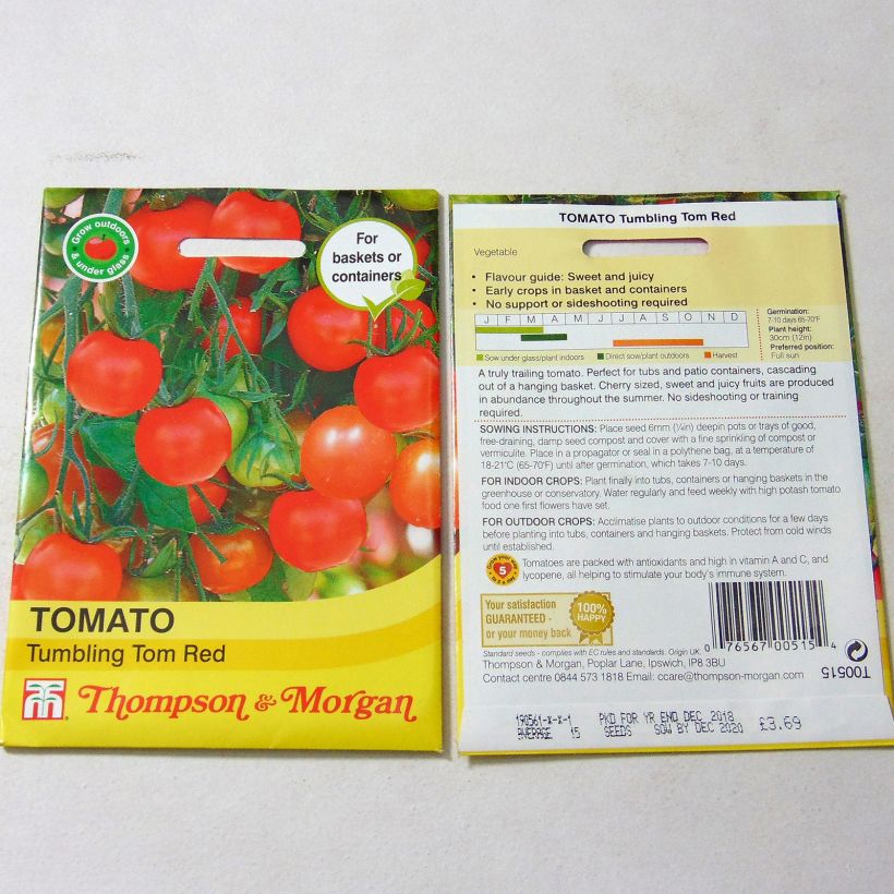 Example of Kirschtomate Tumbling Tom Red per pack of 15 seeds as you get