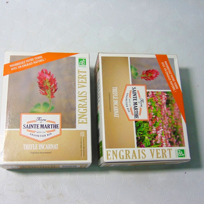 Example of Inkarnat-Klee - Ferme de Sainte Marthe - Trifolium incarnatum per 300 g seed pack as you get