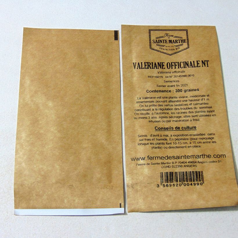 Example of Echter Baldrian - Ferme de Sainte Marthe - Valeriana officinalis per pack of 500 seeds (0,4g) as you get