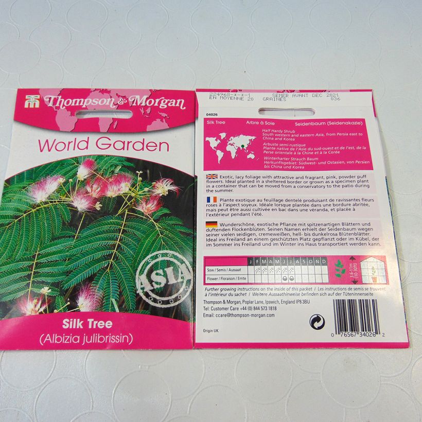 Example of Albizia julibrissin (Samen) - Seidenakazie per pack of 20 seeds (1g) as you get