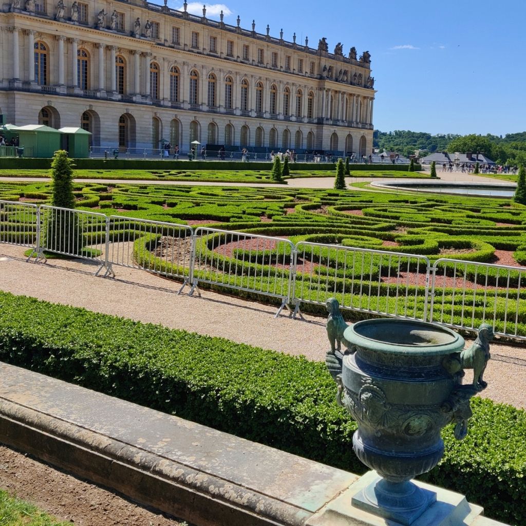 Buxus Betterbuxus Heritage - Buchsbaum