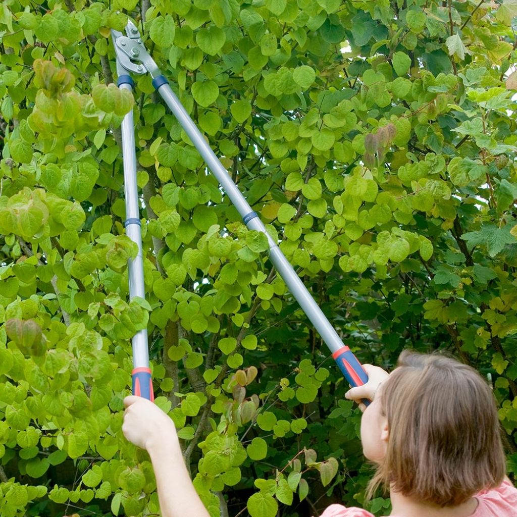 Astschere mit Amboss und Teleskopgriffen Spear & Jackson