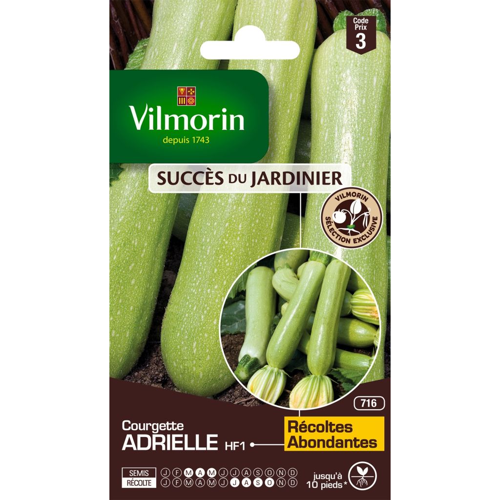 Garten-Kürbis Adrielle F1 - Vilmorin