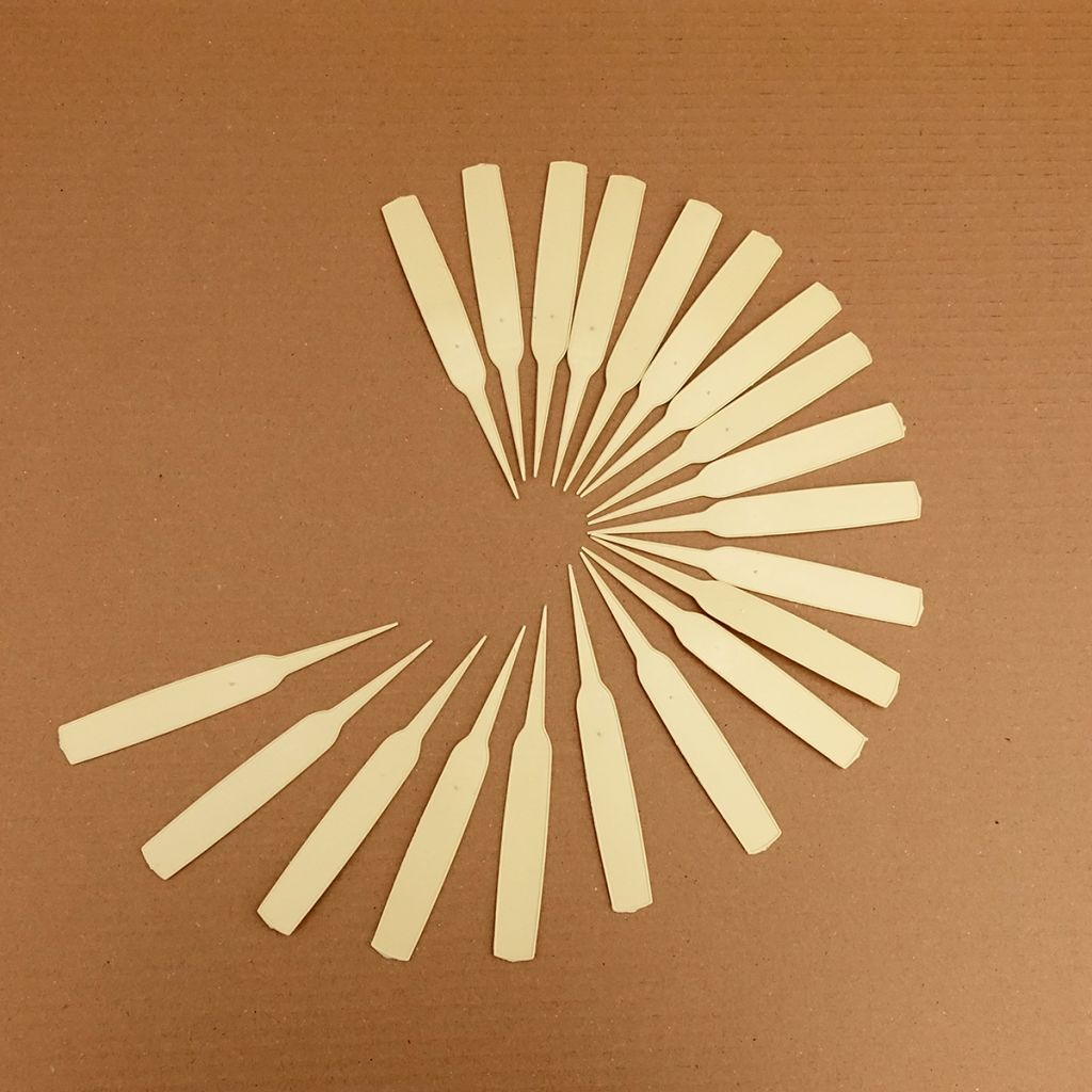 Schmale Etiketten zum Pflanzen in Elfenbein