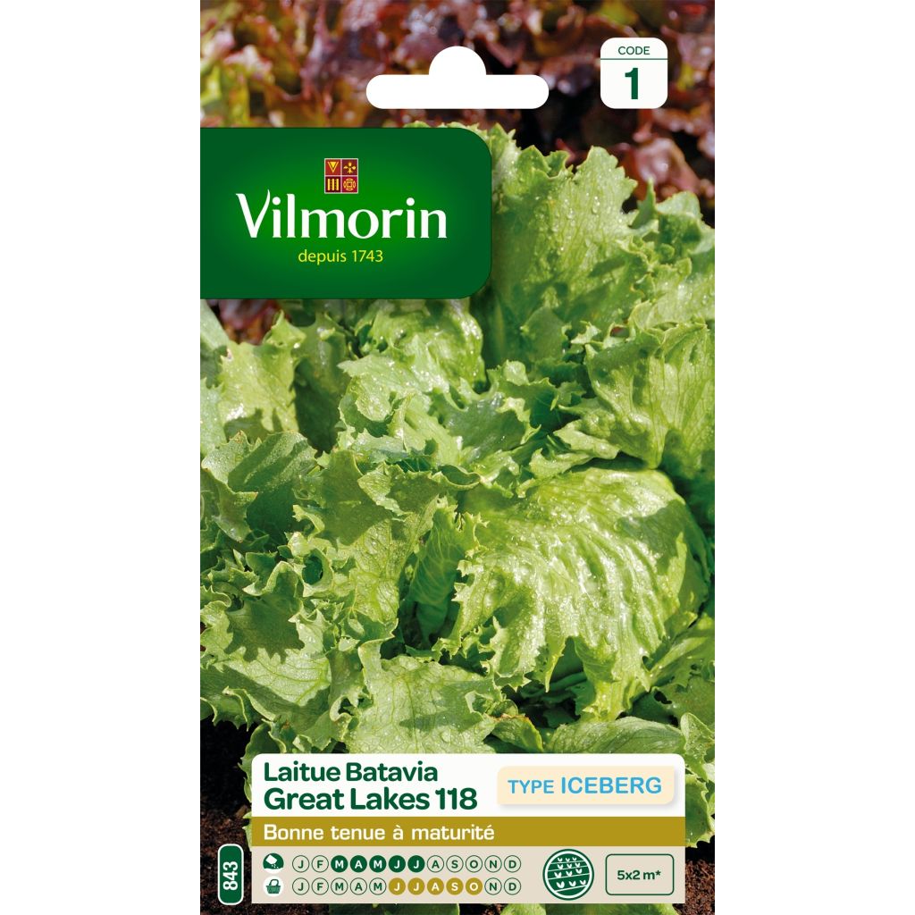 Bataviasalat Great Lakes 118 - Vilmorin