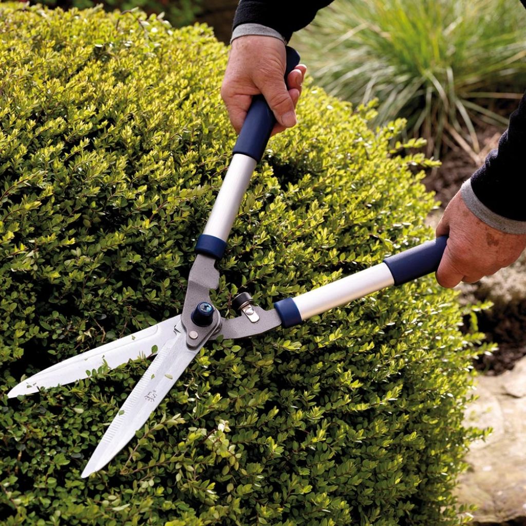 Heckenschere aus Aluminium mit geraden Griffen und 230mm Klingen von Spear & Jackson