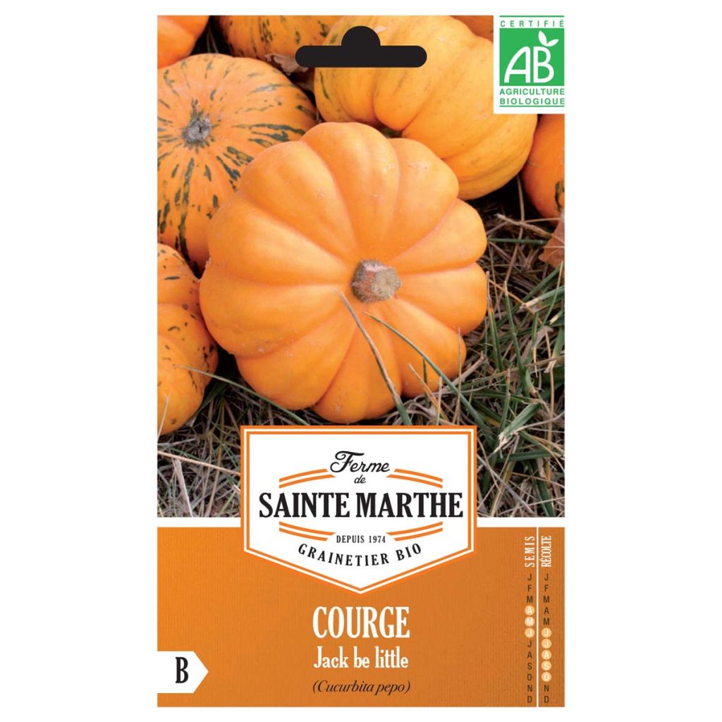 Miniaturkürbis Jack Be Little Bio - Ferme de Sainte Marthe
