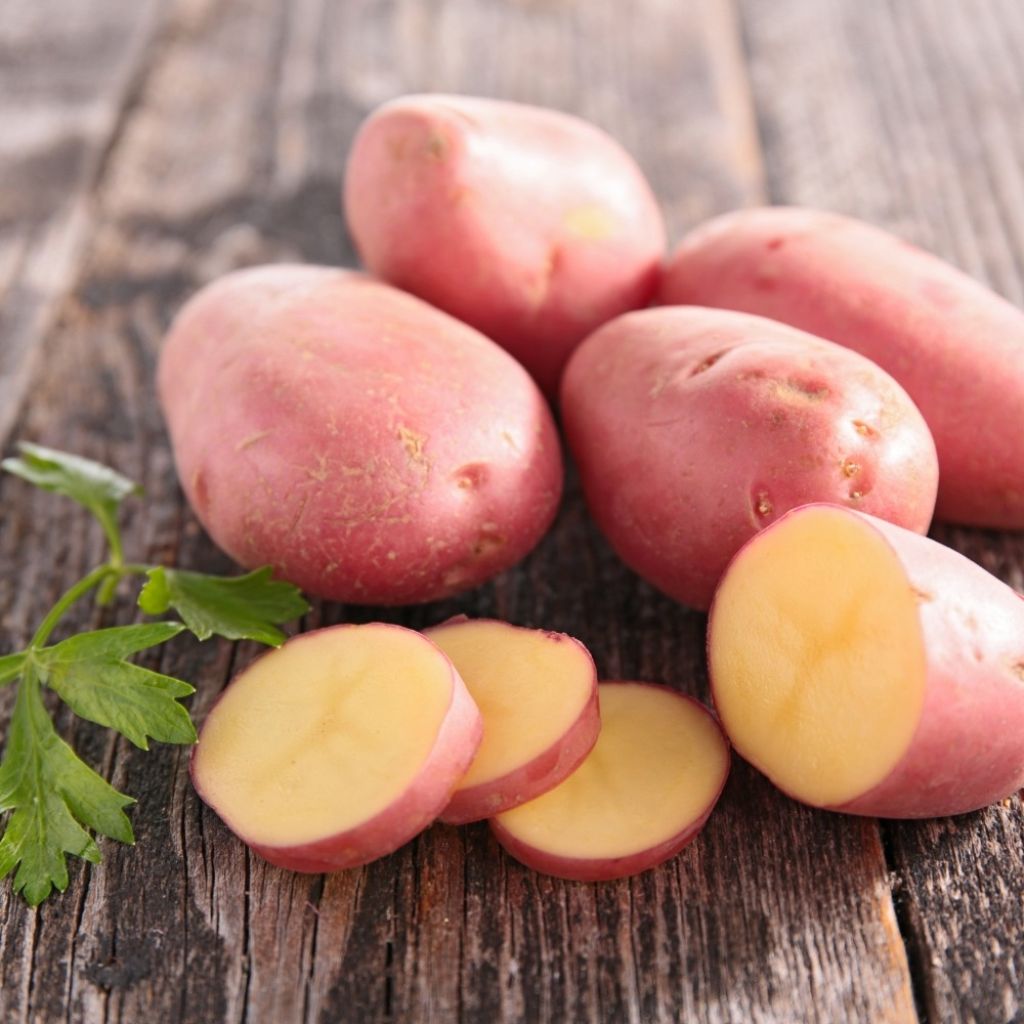 Kartoffel Desiree