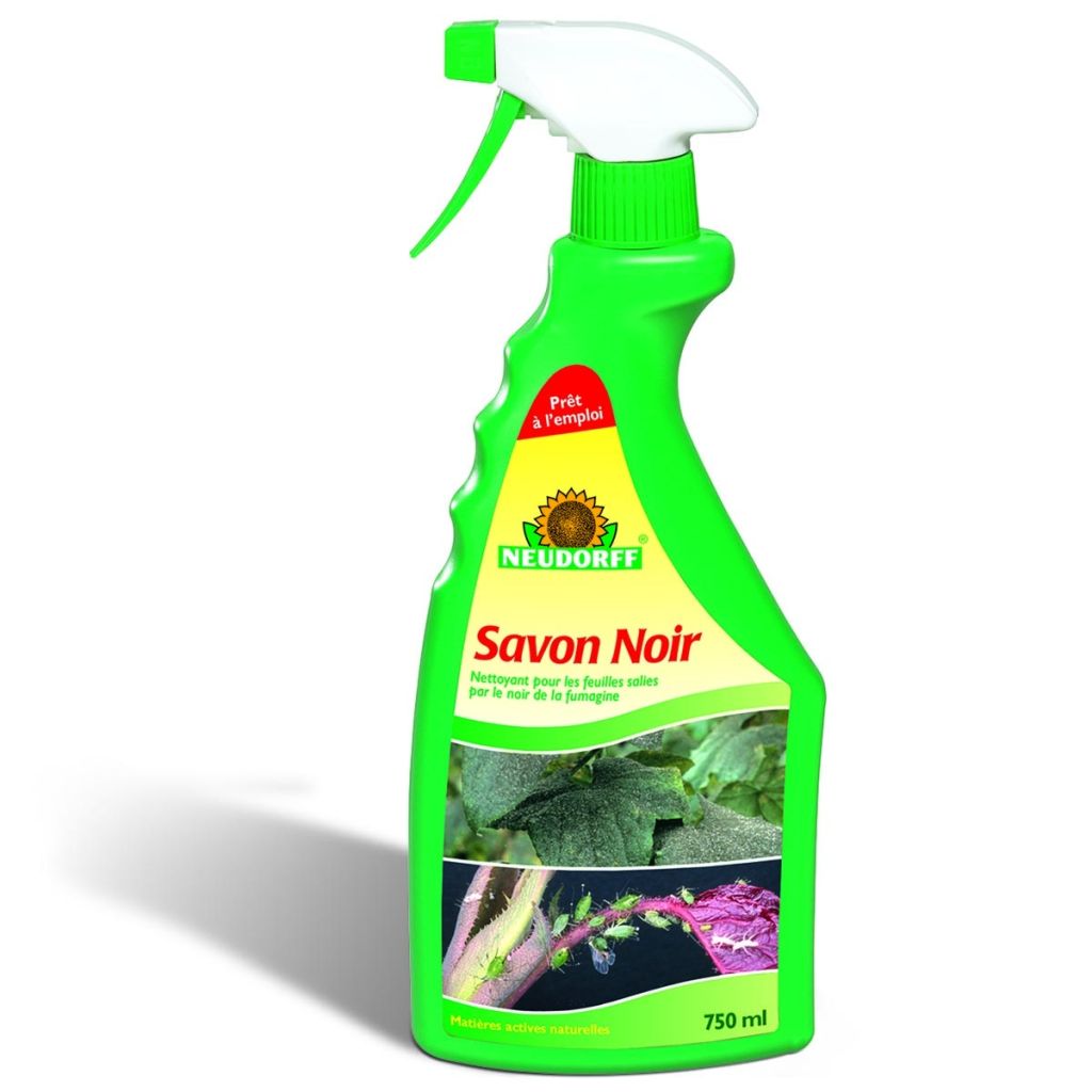 Neudorff Schwarze Seife gebrauchsfertig 750 ml