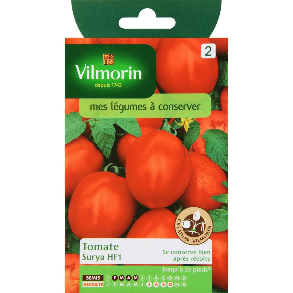 Tomate Surya - Vilmorin