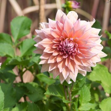 Gordon Huston Gordon Huston