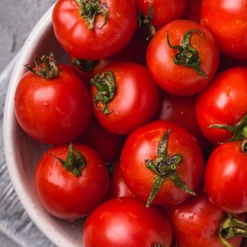 Kirschtomate Pépite - Vilmorin Kirschtomate Pépite - Vilmorin