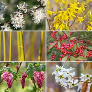 Kit Seto de las 4 estaciones Eco Kit Seto de las 4 estaciones Eco