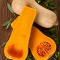 Butternut-kürbis samen