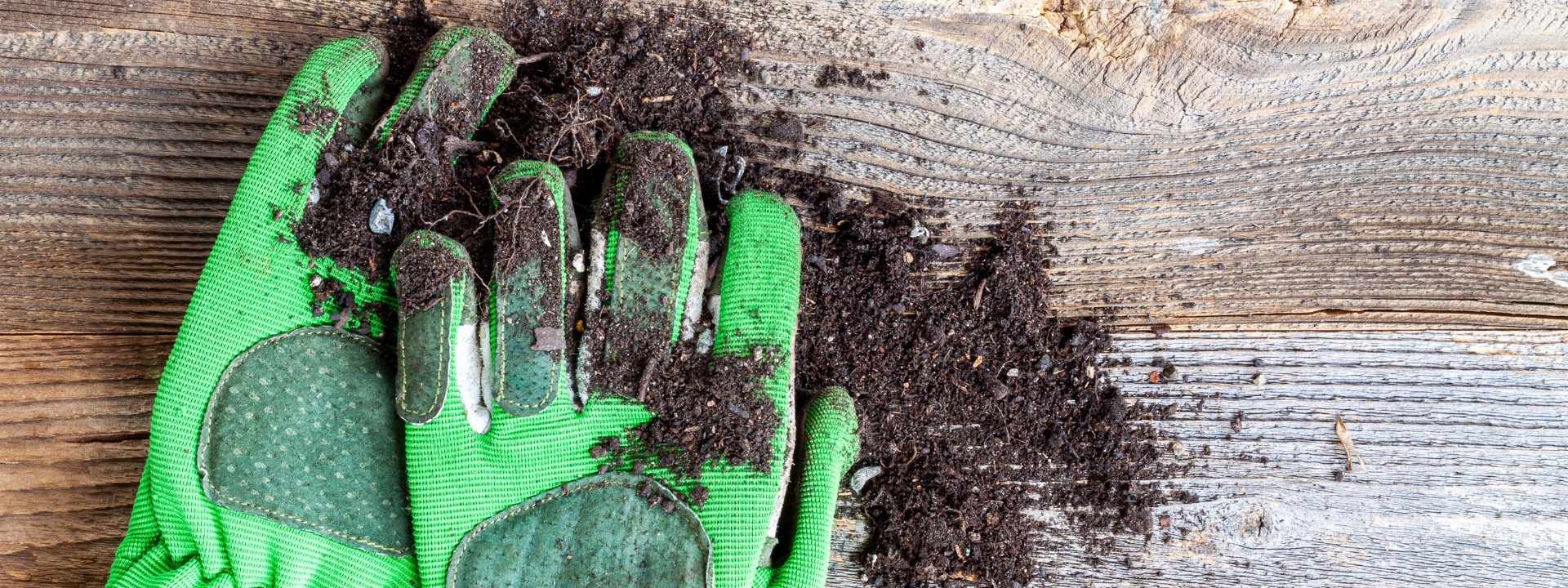 <i>Bekleidung</i> FÜR DIE GARTENARBEIT